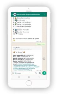 Easypedidos a mayorista